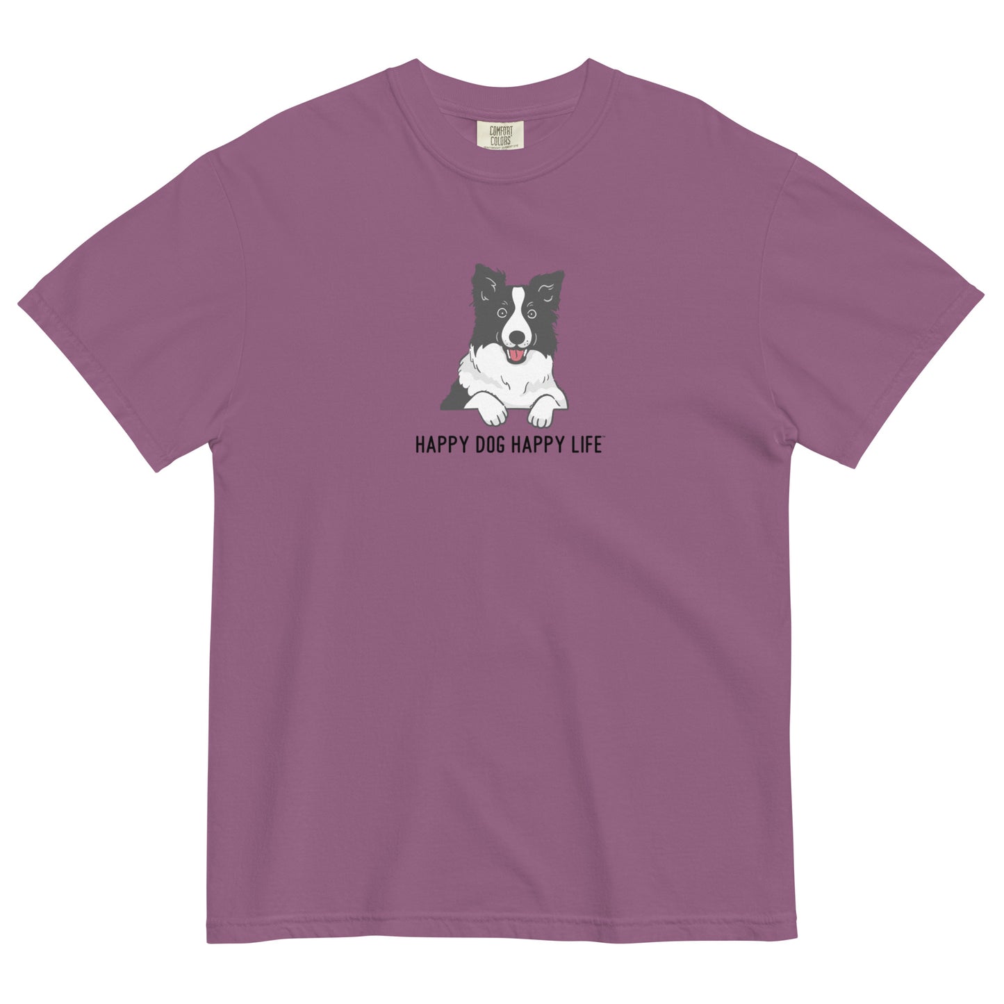 Border Collie Fun