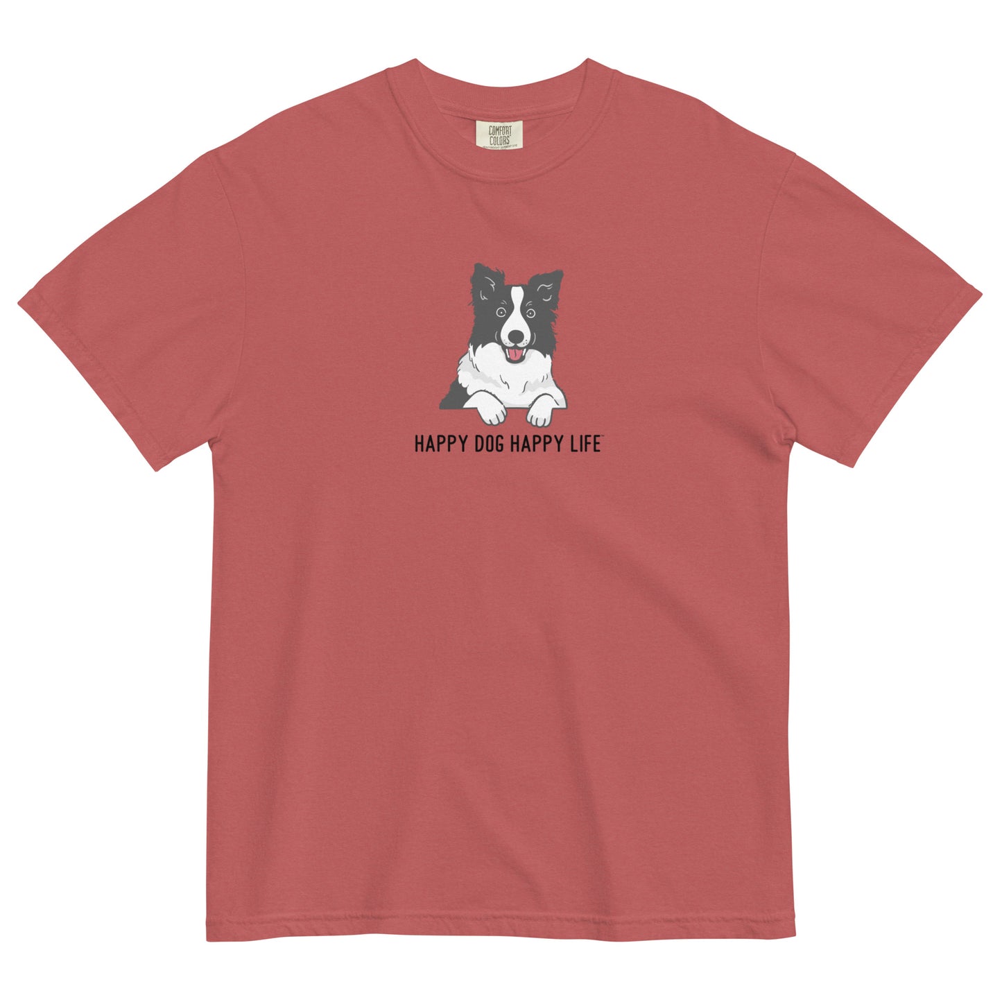 Border Collie Fun