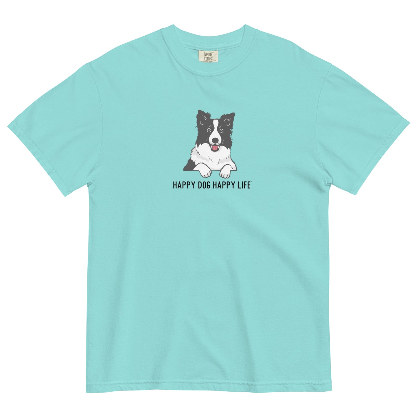 Border Collie Fun