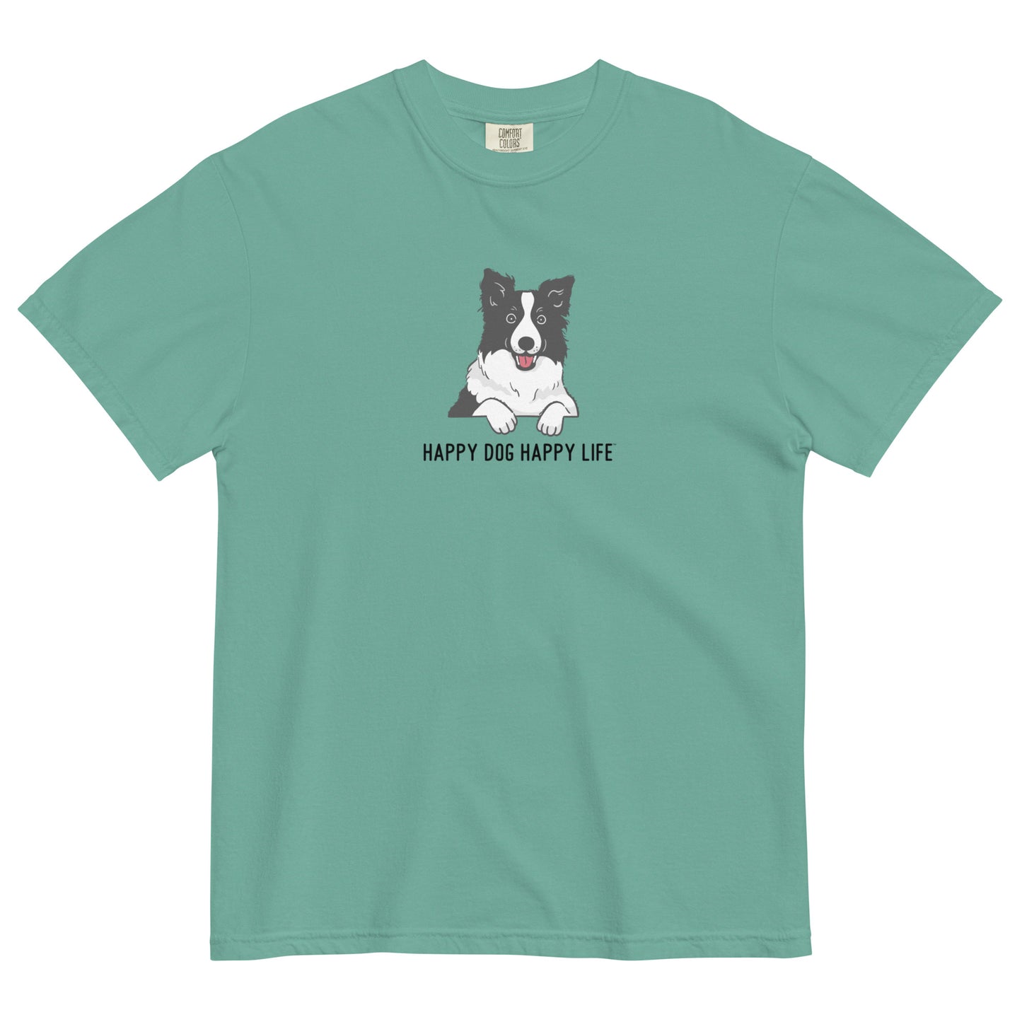 Border Collie Fun