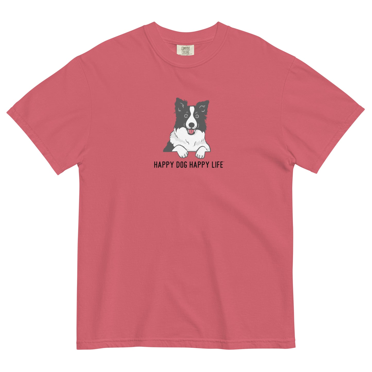 Border Collie Fun