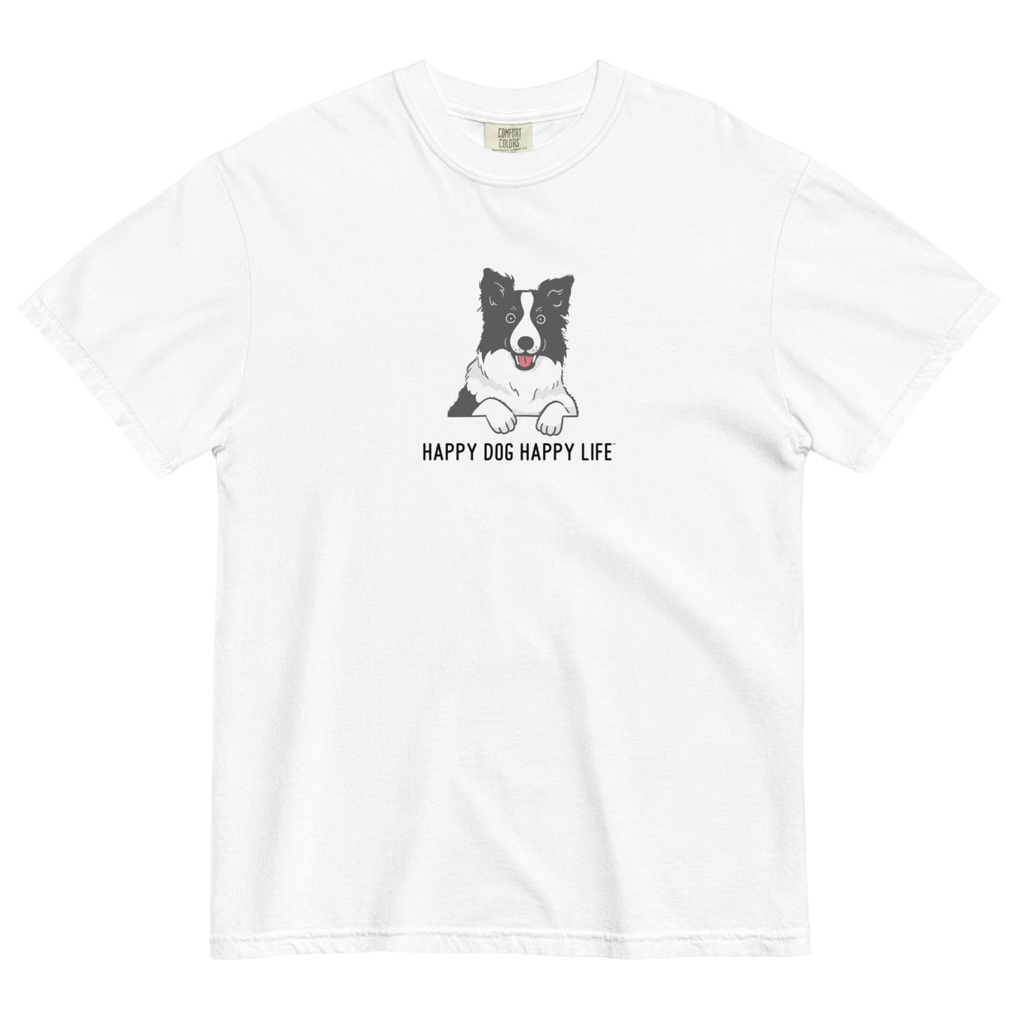 Border Collie Fun
